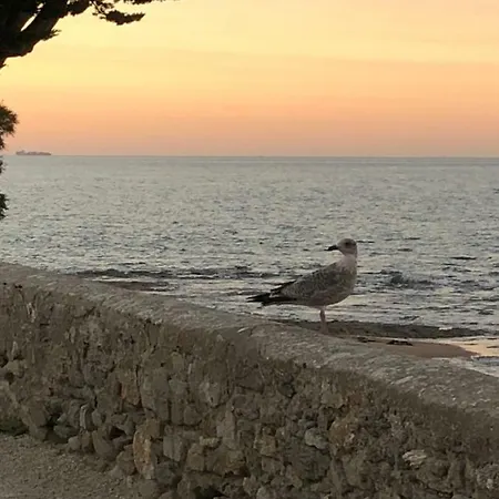 Maison Bord De Au Vieil 3 Etoiles