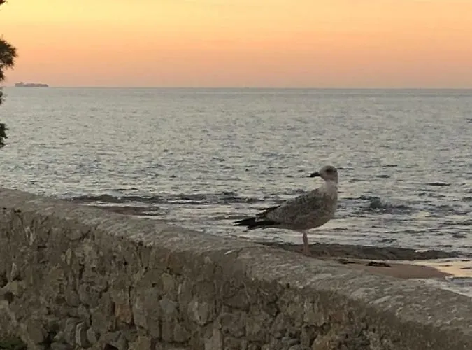 Maison Bord De Au Vieil 3 Etoiles